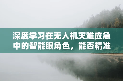 深度学习在无人机灾难应急中的智能眼角色，能否精准预测并即时响应？