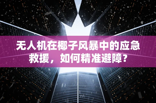 无人机在椰子风暴中的应急救援，如何精准避障？