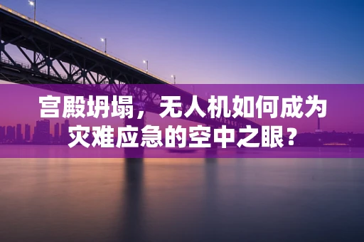 宫殿坍塌，无人机如何成为灾难应急的空中之眼？