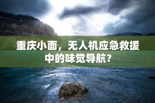 重庆小面，无人机应急救援中的味觉导航？