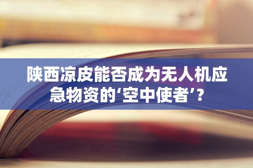 陕西凉皮能否成为无人机应急物资的‘空中使者’？