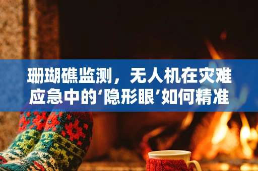 珊瑚礁监测，无人机在灾难应急中的‘隐形眼’如何精准识别？