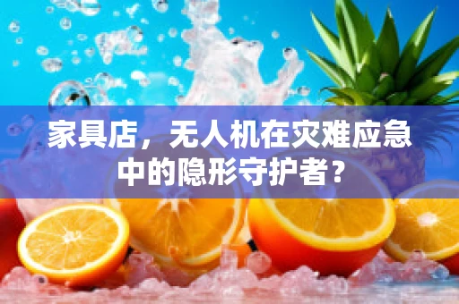 家具店，无人机在灾难应急中的隐形守护者？