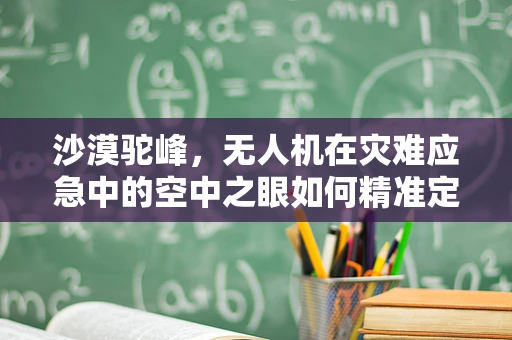 沙漠驼峰，无人机在灾难应急中的空中之眼如何精准定位？