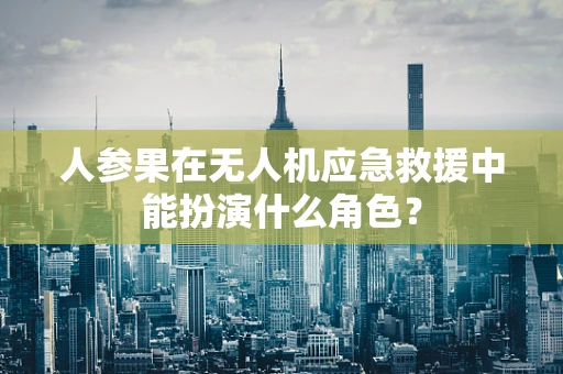 人参果在无人机应急救援中能扮演什么角色？