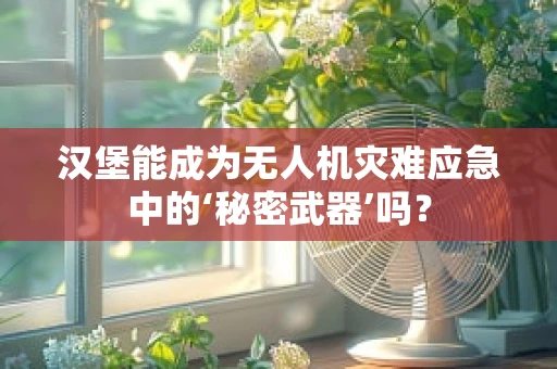 汉堡能成为无人机灾难应急中的‘秘密武器’吗？