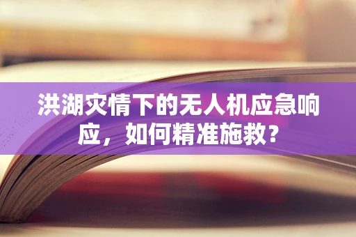 洪湖灾情下的无人机应急响应，如何精准施救？