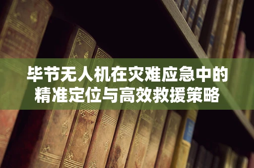 毕节无人机在灾难应急中的精准定位与高效救援策略