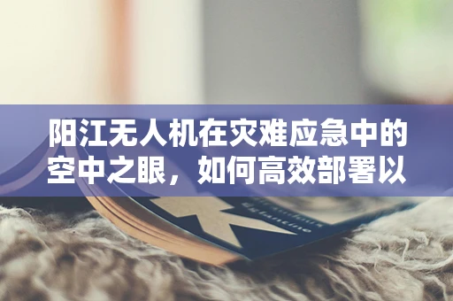 阳江无人机在灾难应急中的空中之眼，如何高效部署以提升救援效率？