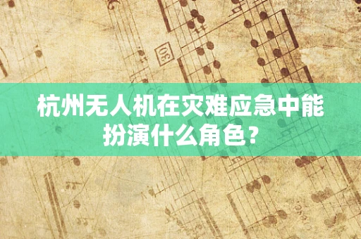 杭州无人机在灾难应急中能扮演什么角色？