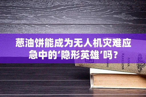 葱油饼能成为无人机灾难应急中的‘隐形英雄’吗？