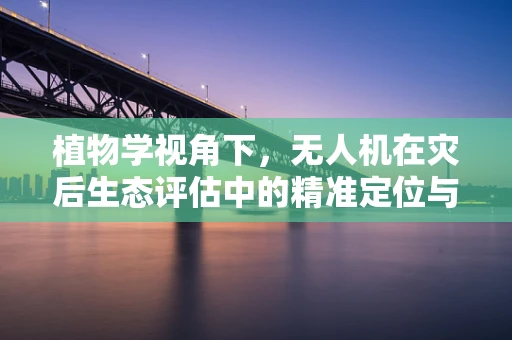 植物学视角下，无人机在灾后生态评估中的精准定位与挑战