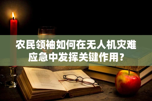 农民领袖如何在无人机灾难应急中发挥关键作用？