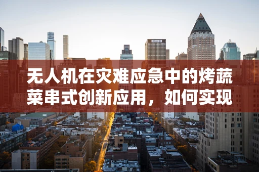 无人机在灾难应急中的烤蔬菜串式创新应用，如何实现高效食物补给？