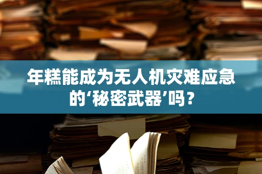 年糕能成为无人机灾难应急的‘秘密武器’吗？