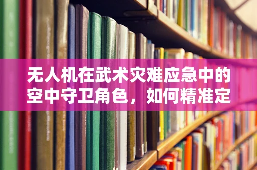 无人机在武术灾难应急中的空中守卫角色，如何精准定位与快速响应？