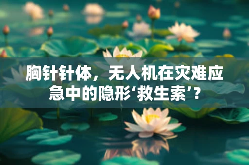 胸针针体，无人机在灾难应急中的隐形‘救生索’？