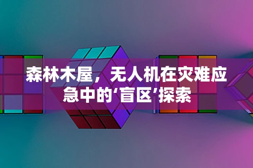 森林木屋，无人机在灾难应急中的‘盲区’探索