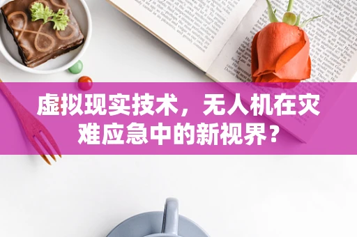 虚拟现实技术，无人机在灾难应急中的新视界？