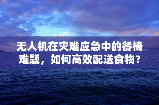 无人机在灾难应急中的餐椅难题，如何高效配送食物？