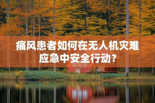 痛风患者如何在无人机灾难应急中安全行动？