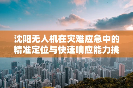 沈阳无人机在灾难应急中的精准定位与快速响应能力挑战