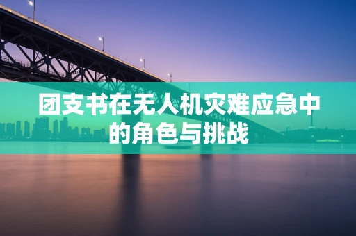 团支书在无人机灾难应急中的角色与挑战