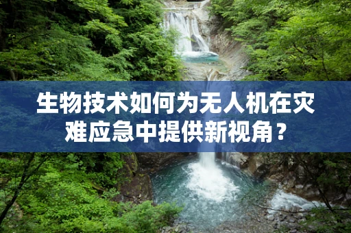 生物技术如何为无人机在灾难应急中提供新视角？