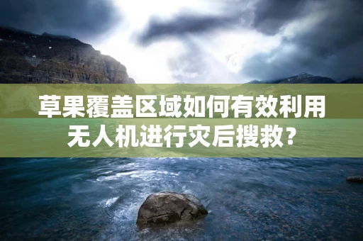 草果覆盖区域如何有效利用无人机进行灾后搜救？