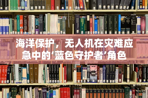 海洋保护，无人机在灾难应急中的‘蓝色守护者’角色