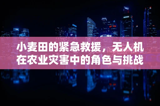 小麦田的紧急救援，无人机在农业灾害中的角色与挑战