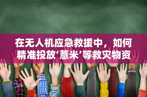 在无人机应急救援中，如何精准投放‘薏米’等救灾物资？