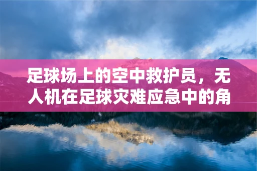 足球场上的空中救护员，无人机在足球灾难应急中的角色与挑战？