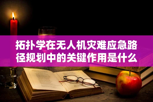 拓扑学在无人机灾难应急路径规划中的关键作用是什么？