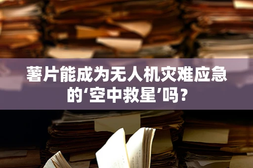 薯片能成为无人机灾难应急的‘空中救星’吗？