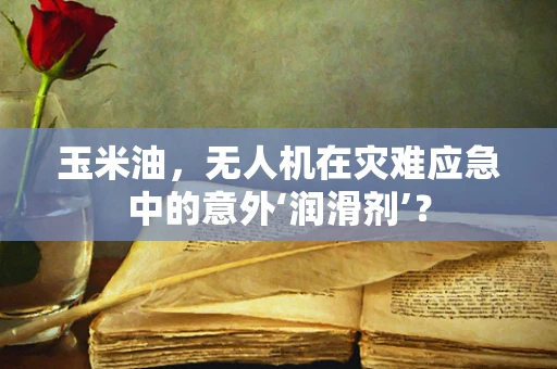 玉米油，无人机在灾难应急中的意外‘润滑剂’？